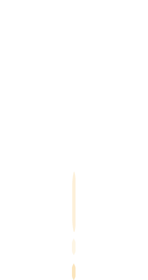 640.gif